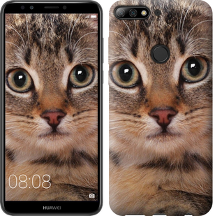 

Чохол Смугастий котик для Huawei Y7 Prime (2018) 675837