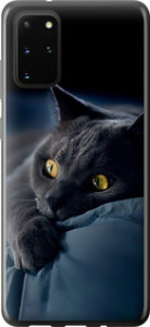 Чохол Димчастий кіт на Samsung Galaxy S20 Plus