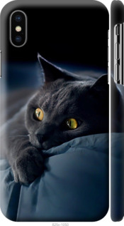 Чехол Дымчатый кот для iPhone XS
