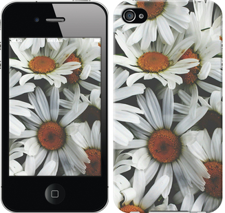 

Чохол Ромашки v2 на iPhone 4 127065