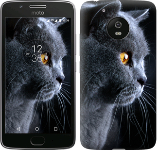 

Чохол Гарний кіт на Motorola Moto G5 626693