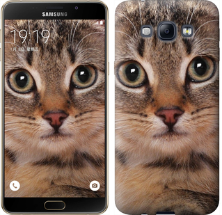 

Чохол Смугастий котик на Samsung Galaxy A8 A8000 175527