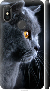 Чехол Красивый кот для Xiaomi Redmi Note 6 Pro
