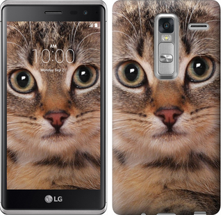 

Чохол Смугастий котик для LG H650E Zero / Class 175685