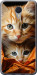 Чехол Котики 2 для Meizu M3 Note
