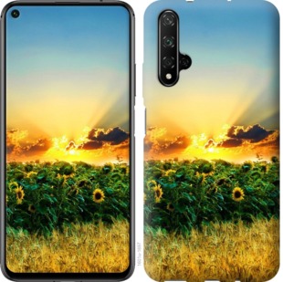 

Чехол Украина для Huawei Nova 5T 742888
