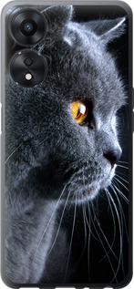 

Чохол Гарний кіт на Oppo A78 5G 1693920