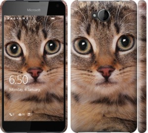 Чехол Полосатый котик для Nokia Lumia 650