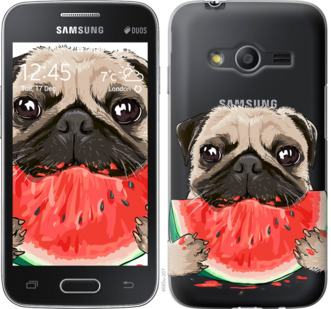 

Чехол Мопс и арбуз для Samsung Galaxy Ace 4 G313 843502
