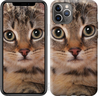 

Чехол Полосатый котик для iPhone 11 Pro 780390