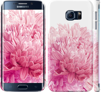 

Чохол Хризантема на Samsung Galaxy S6 Edge G925F 844098