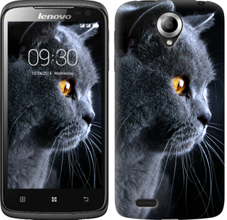 

Чохол Гарний кіт на Lenovo S820 116980