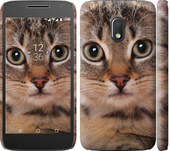 

Чохол Смугастий котик на Motorola Moto G4 Play 175823