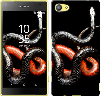 

Чохол Червоно-чорна змія на чорному тлі на Sony Xperia Z5 Compact E5823 482151