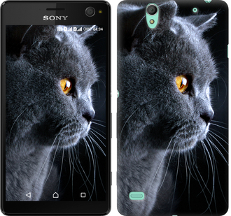 

Чохол Гарний кіт на Sony Xperia C4 E5333 117049