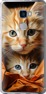 

Чехол Котики 2 для Huawei Mate S 1648063