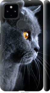 Чехол Красивый кот для Google Pixel 5 XL