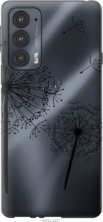 

Чохол Кульбаби на Motorola Edge 20 1229040