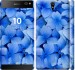 Чохол Сині квіти на Sony Xperia C5 Ultra Dual E5533