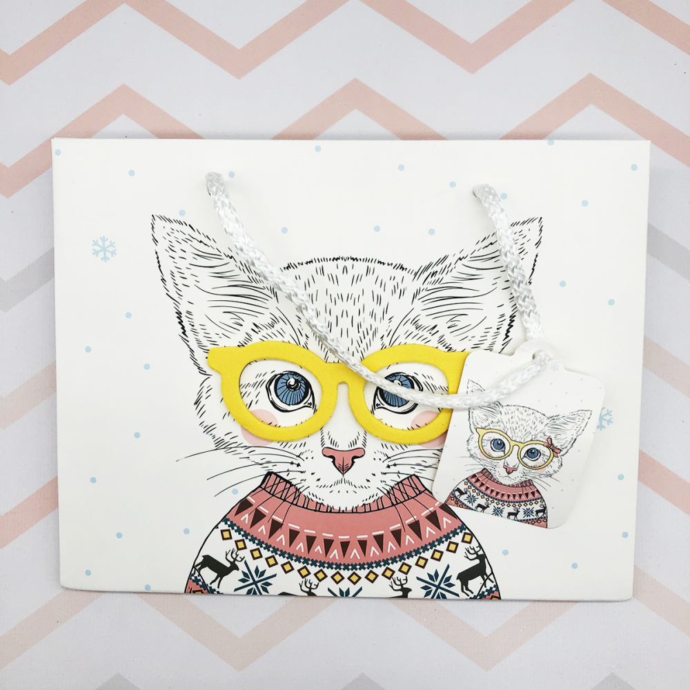 Подарочный пакет Pets with Glasses Big (02)