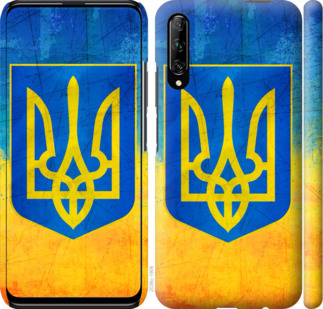 

Чехол Герб Украины для Huawei P Smart Pro 912733