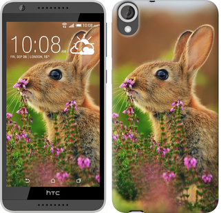 

Чехол Кролик и цветы для HTC Desire 820 149932