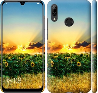 

Чехол Украина для Huawei P Smart 2019 699612