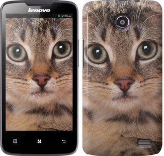 

Чохол Смугастий котик на Lenovo A820 175619