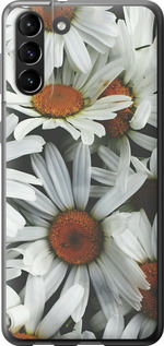 

Чехол Ромашки v2 для Samsung Galaxy S21 Plus 1624373