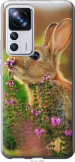 

Чохол Кролик і квіти на Xiaomi 12T Pro 1585913