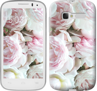 

Чохол Півонії v2 на Alcatel One Touch Pop C5 5036D 657916