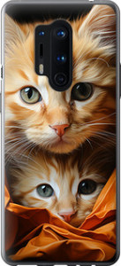 Чехол Котики 2 для OnePlus 8 Pro