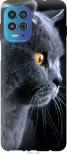 Чехол Красивый кот для Motorola G100