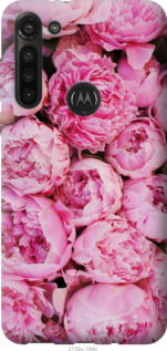 

Чохол Півонії v3 на Motorola G8 Power 1315614