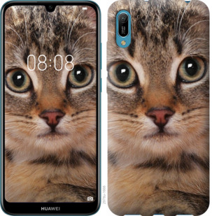 

Чехол Полосатый котик для Huawei Y6 2019 711471