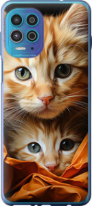 Чехол Котики 2 для Motorola G100