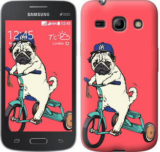 

Чохол Мопс на велосипеді на Samsung Galaxy Core Plus G3500 642776