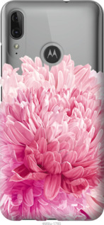 

Чохол Хризантема на Motorola G8 Power 1086083