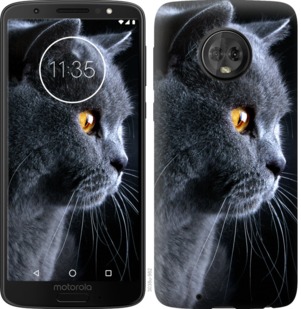 

Чехол Красивый кот для Motorola Moto G6 762624