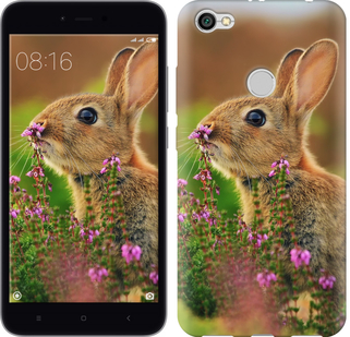 

Чехол Кролик и цветы для Xiaomi Redmi Note 5A Prime 656662