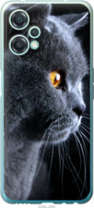 Чехол Красивый кот для OnePlus Nord CE 2 Lite