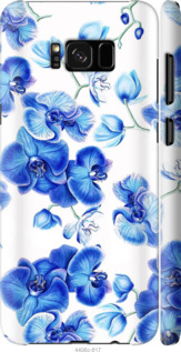 

Чохол Блакитні орхідеї на Samsung Galaxy S8 Plus 724843