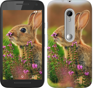 

Чохол Кролик і квіти на Motorola Moto G3 304827