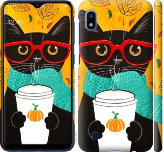 

Чохол Осінній кіт на Samsung Galaxy A10 2019 A105F 710703