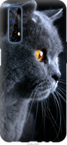 Чехол Красивый кот для Realme 7