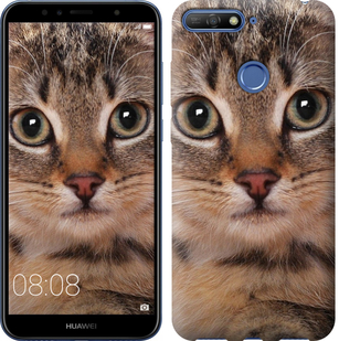 

Чохол Смугастий котик на Huawei Y6 Prime 2018 675838