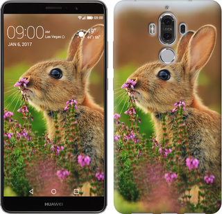 

Чехол Кролик и цветы для Huawei Mate 10 528647