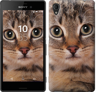 

Чехол Полосатый котик для Sony Xperia M4 Aqua E2312 175713