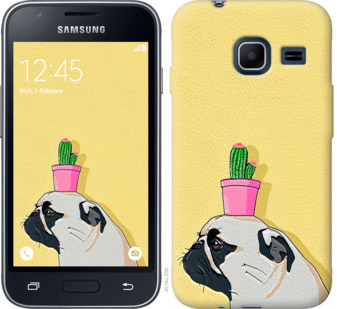 

Чохол Мопс з кактусом на Samsung Galaxy J1 Mini J105H 795439