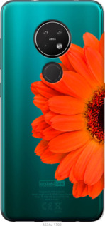 

Чехол Гербера 1 для Nokia 6.2 1589612